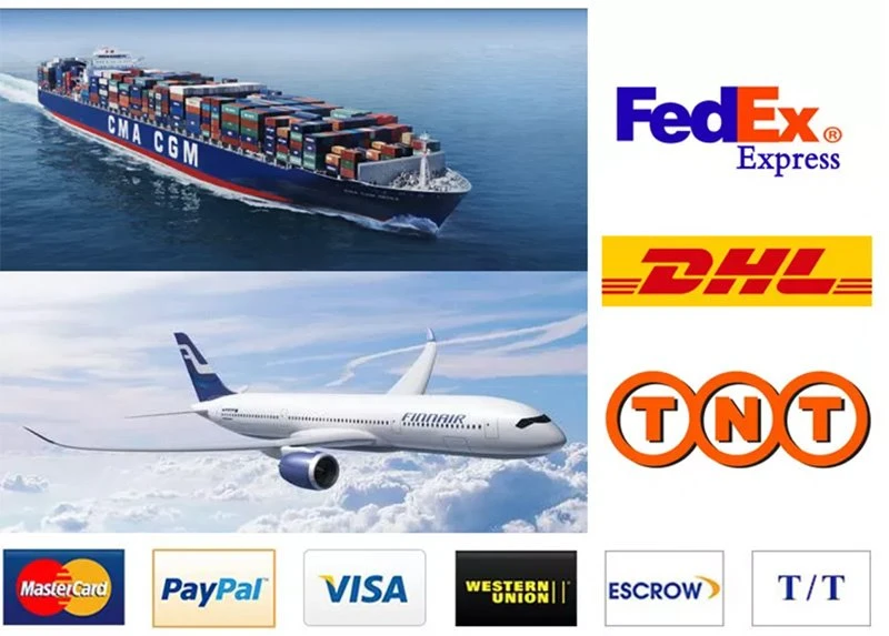 shipping and delivery